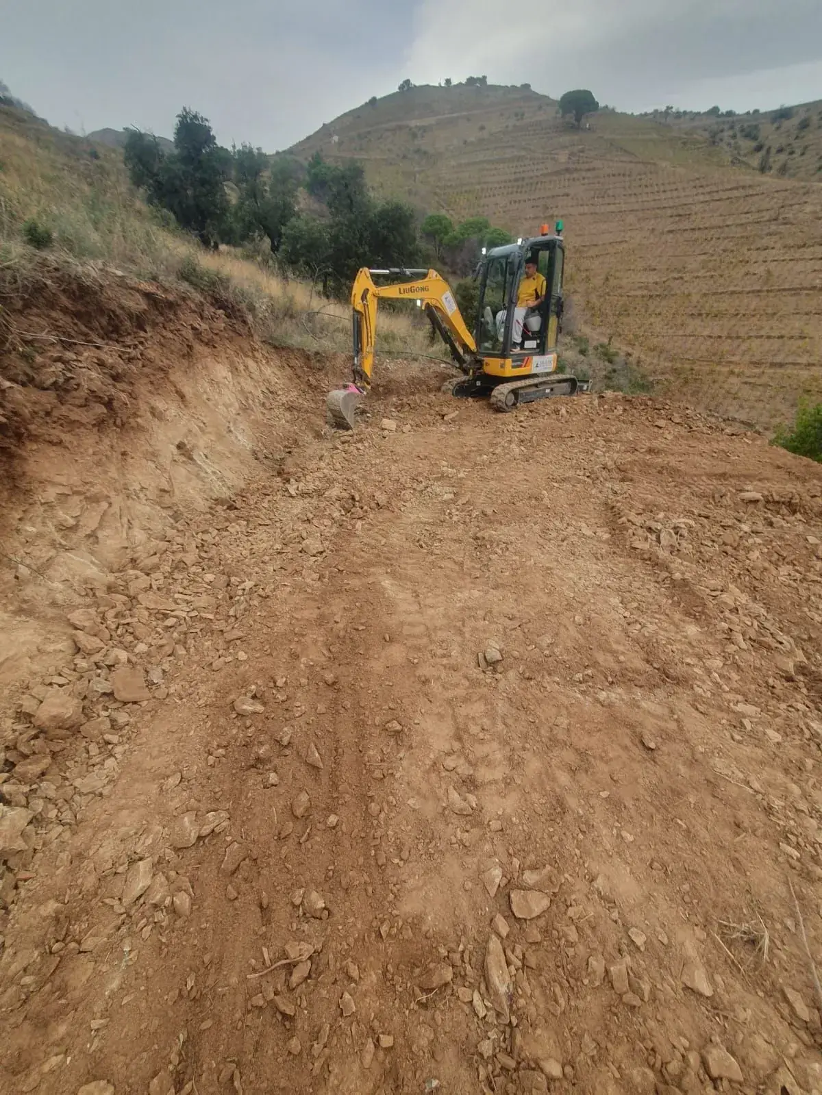 Ouverture de piste dans les vignes - Pyrénées-Orientales
